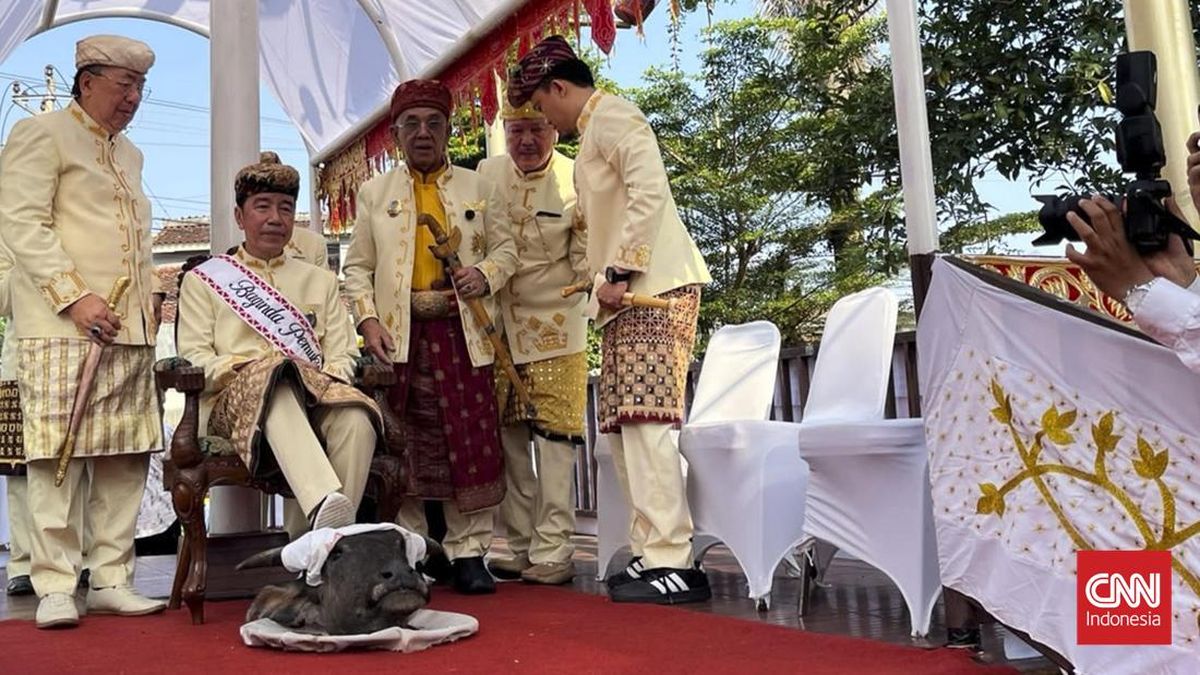 pdip tidak percaya - ilustrasi berita Sorotan Baru Seputar Pdip Tidak Percaya yang Menarik Perhatian